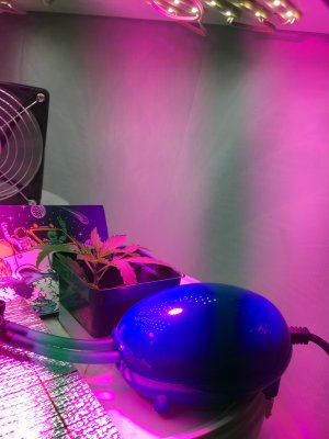 07 (14).JPG 07 (14).JPG