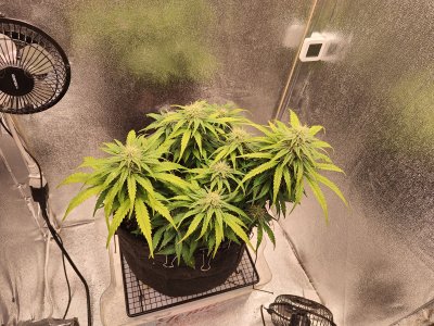 IMG20220828092144.jpg IMG20220828092144.jpg