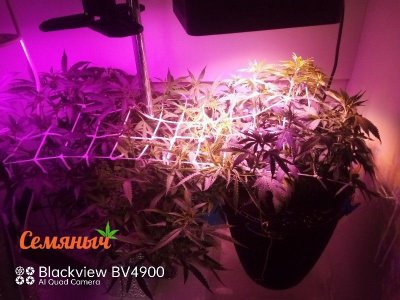 160-wm-148423_watermarked_copy_800x600.jpg 160-wm-148423_watermarked_copy_800x600.jpg