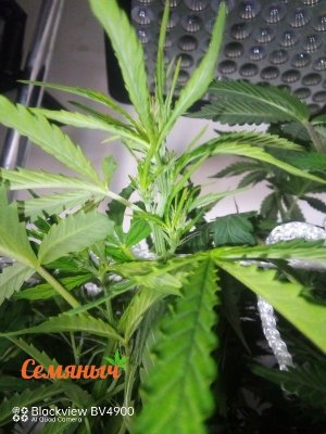 161-wm-150062.5_watermarked_copy_600x800.jpg 161-wm-150062.5_watermarked_copy_600x800.jpg