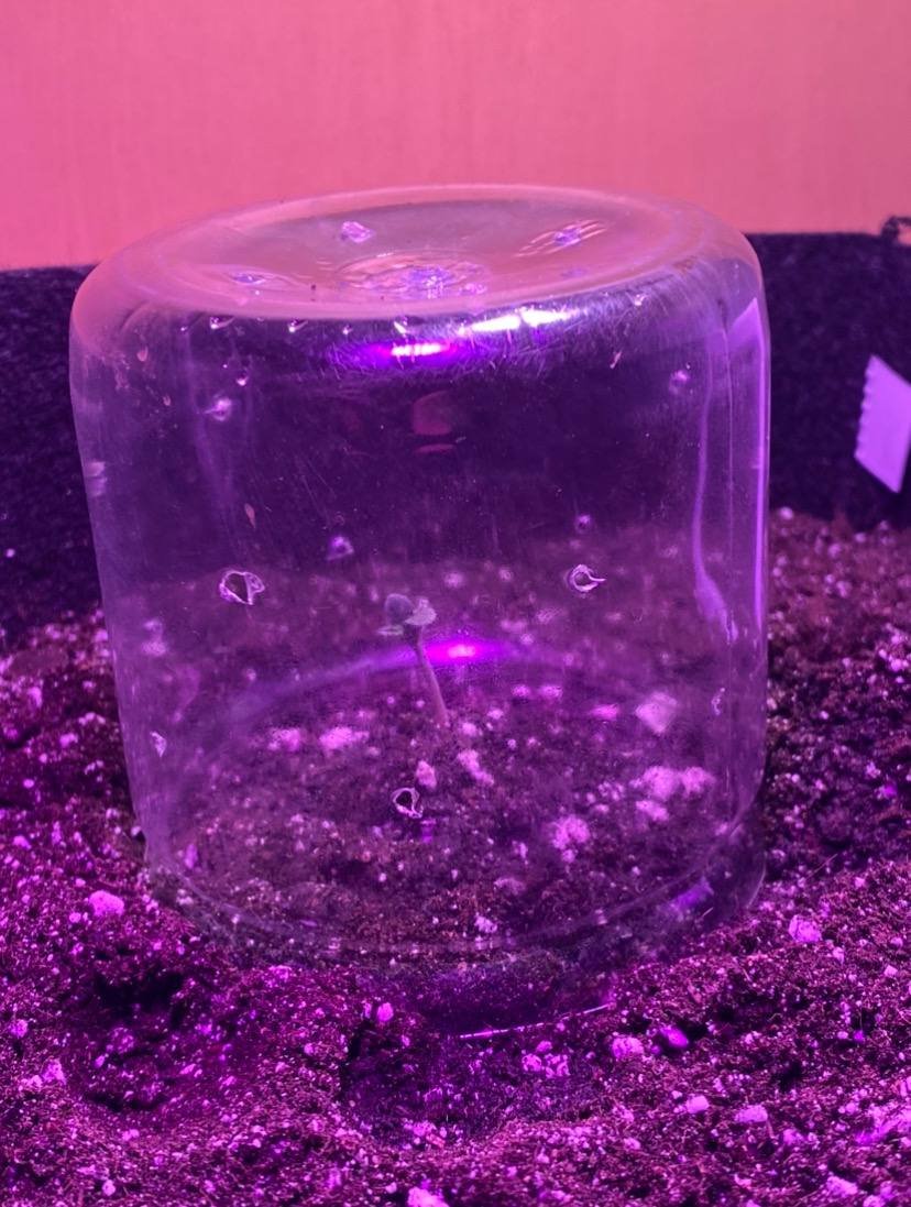 photo_2022-09-01_15-15-40.jpg photo_2022-09-01_15-15-40.jpg