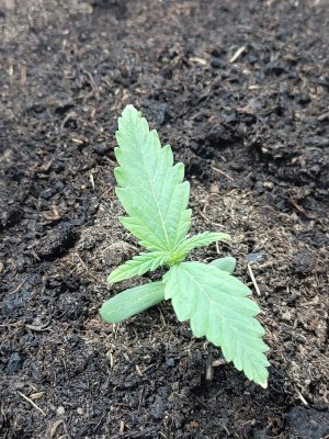 P20902-160747.jpg P20902-160747.jpg