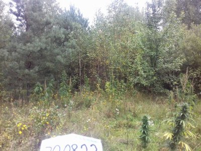 20150104_205457.jpg 20150104_205457.jpg