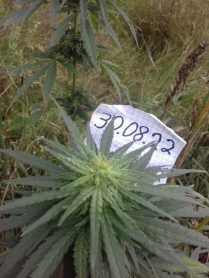 20150104_210124.jpg 20150104_210124.jpg