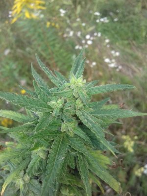 20150104_210802.jpg 20150104_210802.jpg