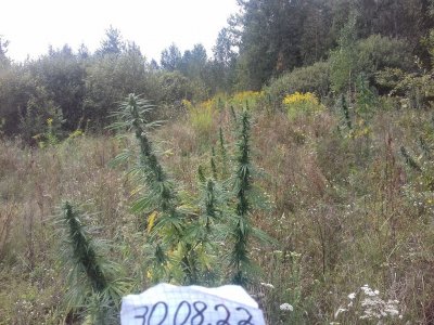 20150104_210947.jpg 20150104_210947.jpg