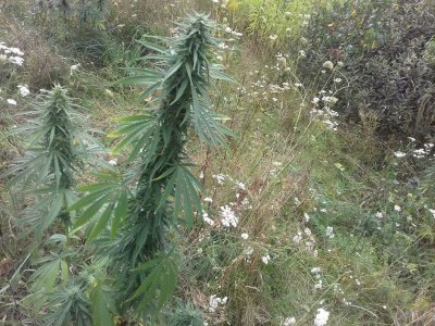 20150104_211437.jpg 20150104_211437.jpg