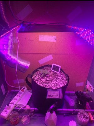 576C1C3A-512C-4AA6-B12A-8A398767A120.jpeg 576C1C3A-512C-4AA6-B12A-8A398767A120.jpeg