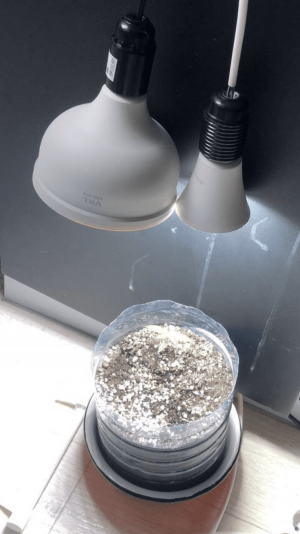 C65CC9EF-F65C-43D1-8E12-930912292957.png C65CC9EF-F65C-43D1-8E12-930912292957.png