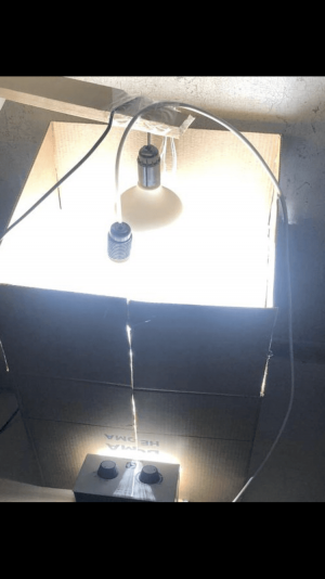 1B007F0F-34E5-4CCF-B65E-2A734C5A3C5D.png 1B007F0F-34E5-4CCF-B65E-2A734C5A3C5D.png