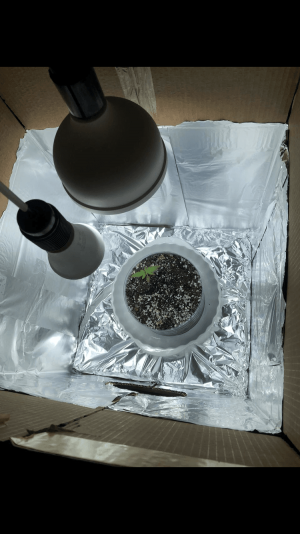 F2CC066D-0F89-4EE2-994F-A030735FB602.png F2CC066D-0F89-4EE2-994F-A030735FB602.png