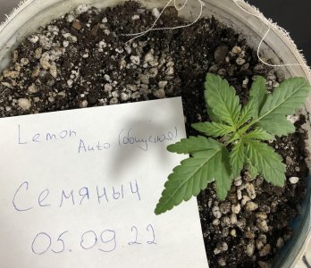 C91EA0A7-D29A-4047-BF05-45CB19CEED4B.jpeg C91EA0A7-D29A-4047-BF05-45CB19CEED4B.jpeg