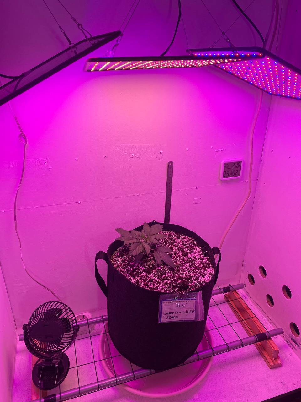 photo_2022-09-06_02-23-28.jpg photo_2022-09-06_02-23-28.jpg