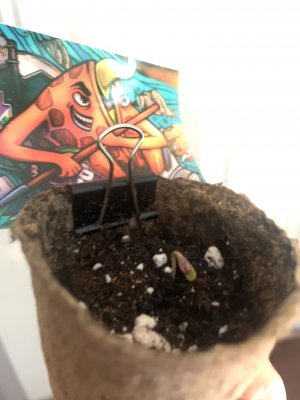 82B8A6C2-2188-44E1-8993-52415C528E45.jpeg 82B8A6C2-2188-44E1-8993-52415C528E45.jpeg