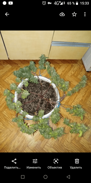 Screenshot_20220906-153314.png Screenshot_20220906-153314.png