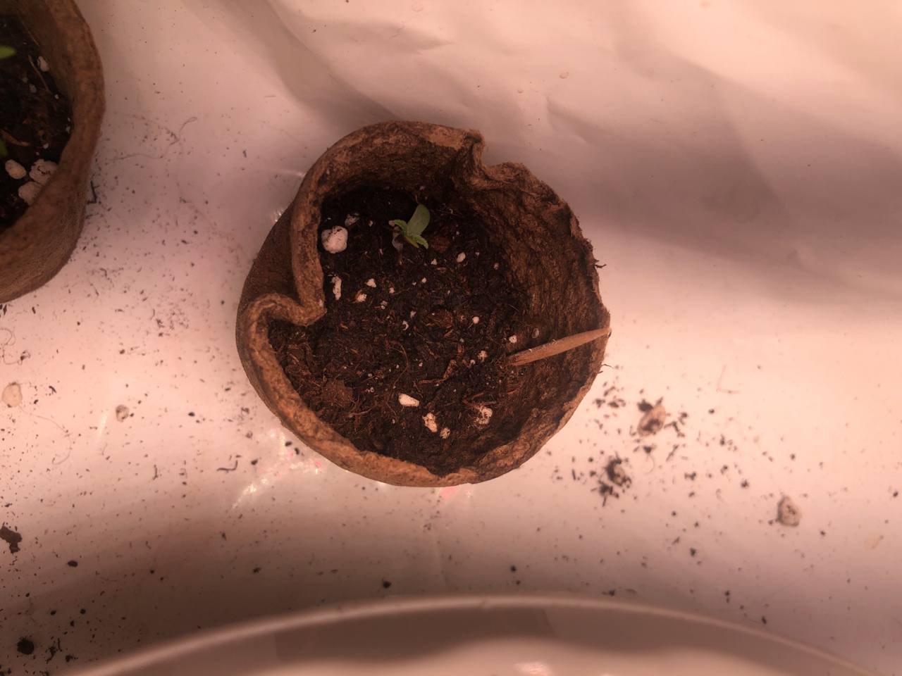 99C71E1A-0935-4E6D-B3FE-89129F5F63E4.jpeg 99C71E1A-0935-4E6D-B3FE-89129F5F63E4.jpeg