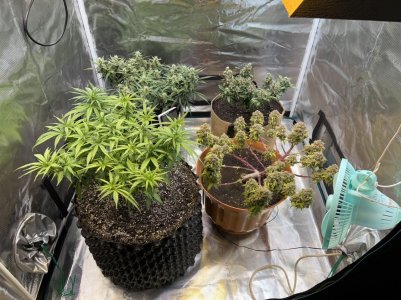 FFD77AF2-E064-4469-885B-646E6A7B772A.jpeg FFD77AF2-E064-4469-885B-646E6A7B772A.jpeg