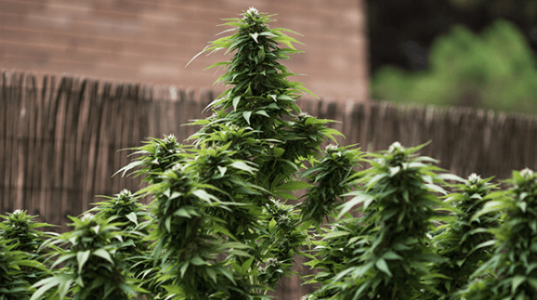 1662721853779.png 1662721853779.png