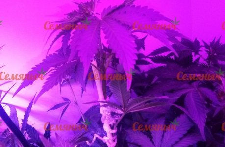 452-wm-198305.79999998212_watermarked.jpg 452-wm-198305.79999998212_watermarked.jpg