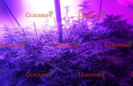 451-wm-197159.5_watermarked.jpg 451-wm-197159.5_watermarked.jpg