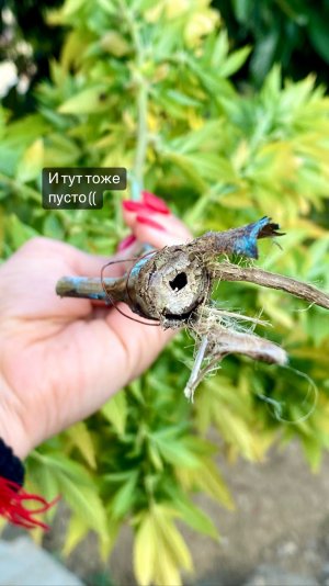 D08DA2B8-516F-4417-BFB0-D6D9D6A7C340.jpeg D08DA2B8-516F-4417-BFB0-D6D9D6A7C340.jpeg