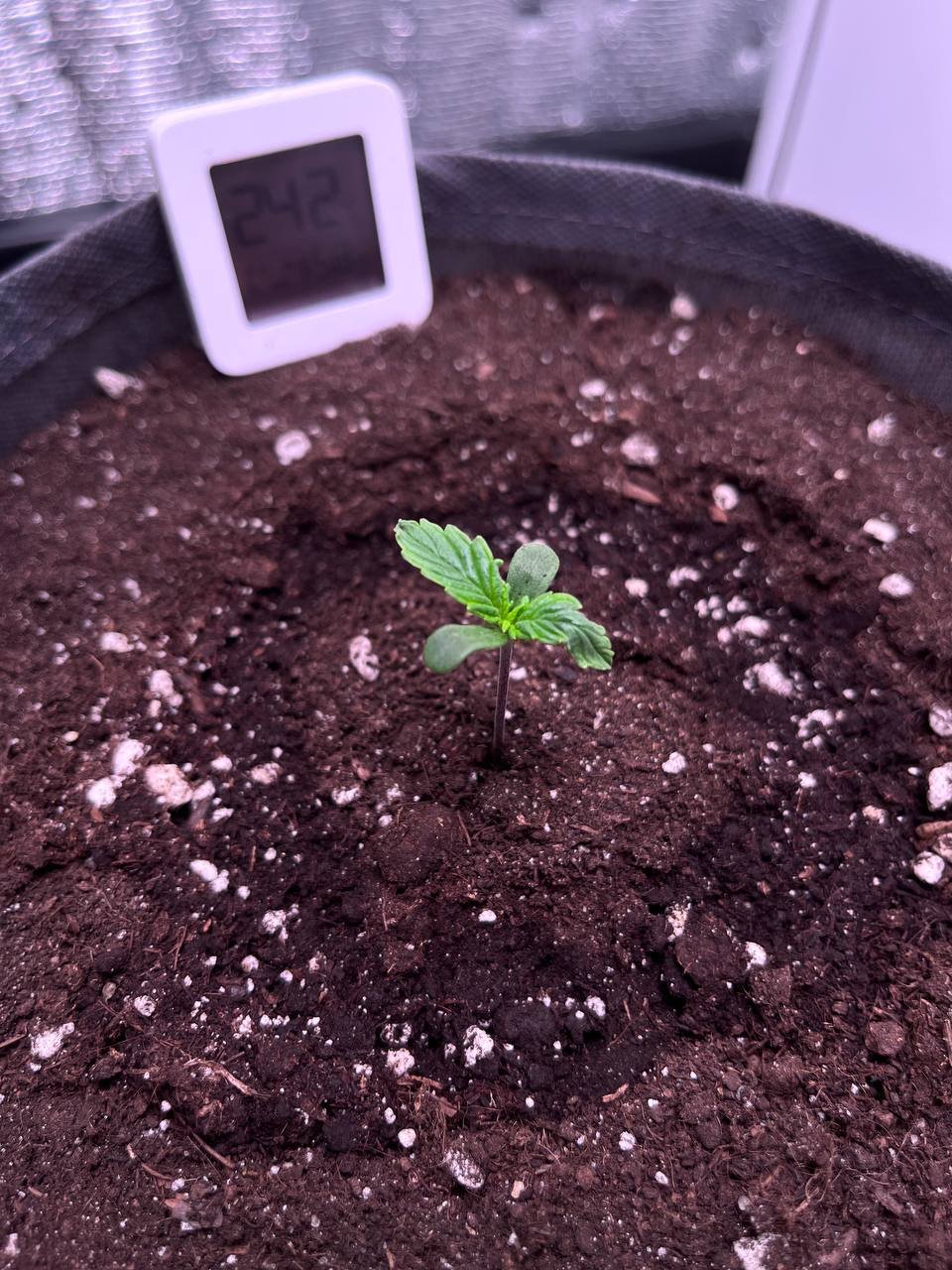 photo_5258322082922610774_y — копия.jpg