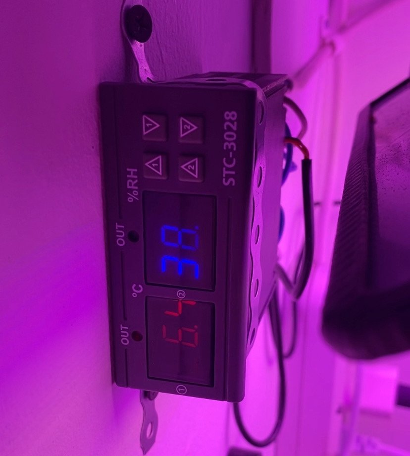 E85CC60C-33B9-477A-8A64-5AABDEB19620.jpeg E85CC60C-33B9-477A-8A64-5AABDEB19620.jpeg