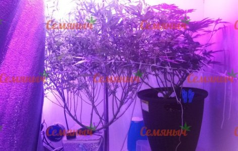 480-wm-34329.40000003576_watermarked.jpg 480-wm-34329.40000003576_watermarked.jpg