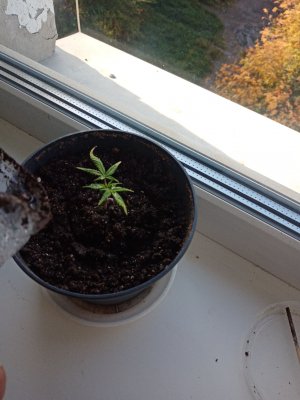 IMG_20220913_090118.jpg IMG_20220913_090118.jpg