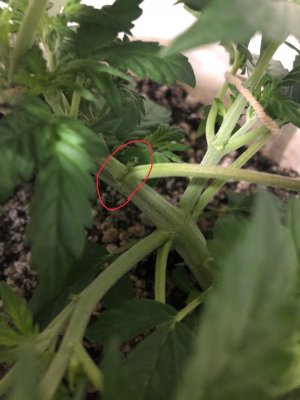 F08B5A1D-11BD-4DC2-8D3B-00B778487572.jpeg F08B5A1D-11BD-4DC2-8D3B-00B778487572.jpeg