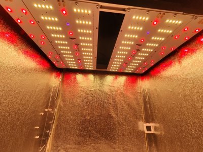 IMG20220919181238.jpg IMG20220919181238.jpg