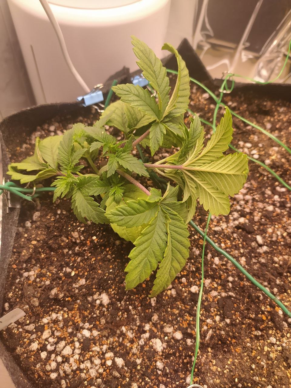 ph1 — копия.jpg ph1 — копия.jpg