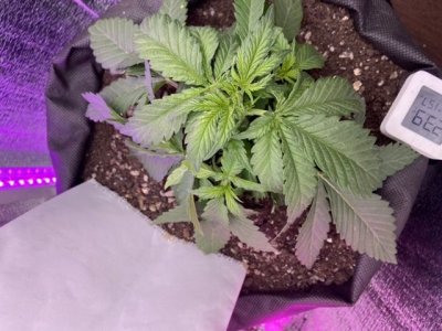 0AC5E45E-B47D-4670-B153-1C9132FD29C8.jpeg 0AC5E45E-B47D-4670-B153-1C9132FD29C8.jpeg