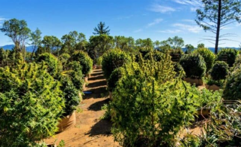 1663870796117.png 1663870796117.png