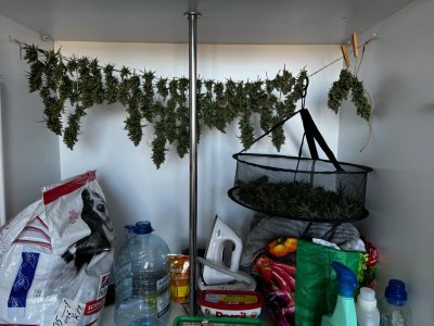 E67E6E65-B22E-41D8-A3FD-DB54D0456B4C.jpeg E67E6E65-B22E-41D8-A3FD-DB54D0456B4C.jpeg