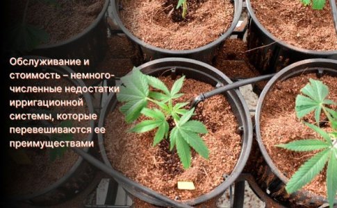 Недостатки использования ирригационной системы Недостатки использования ирригационной системы