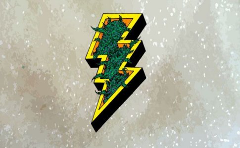 Роль сахаров в развитии конопли Роль сахаров в развитии конопли