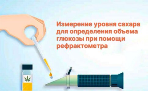 Мониторинг уровня сахара Мониторинг уровня сахара