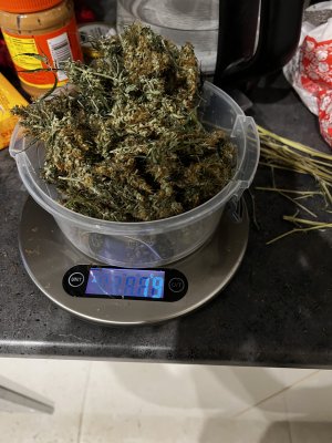 9F6BADFE-F882-4FFF-9C86-7252ABDAB19D.jpeg 9F6BADFE-F882-4FFF-9C86-7252ABDAB19D.jpeg