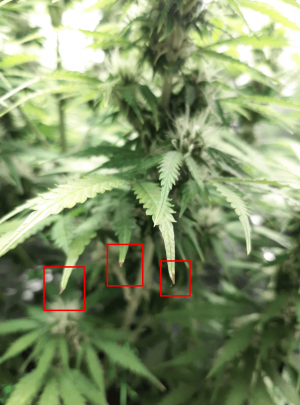 1664573031600.png 1664573031600.png