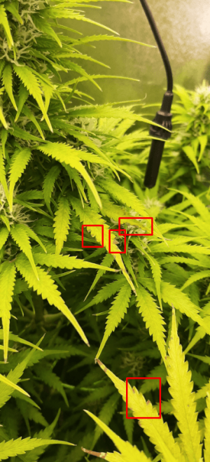 1664709266900.png 1664709266900.png