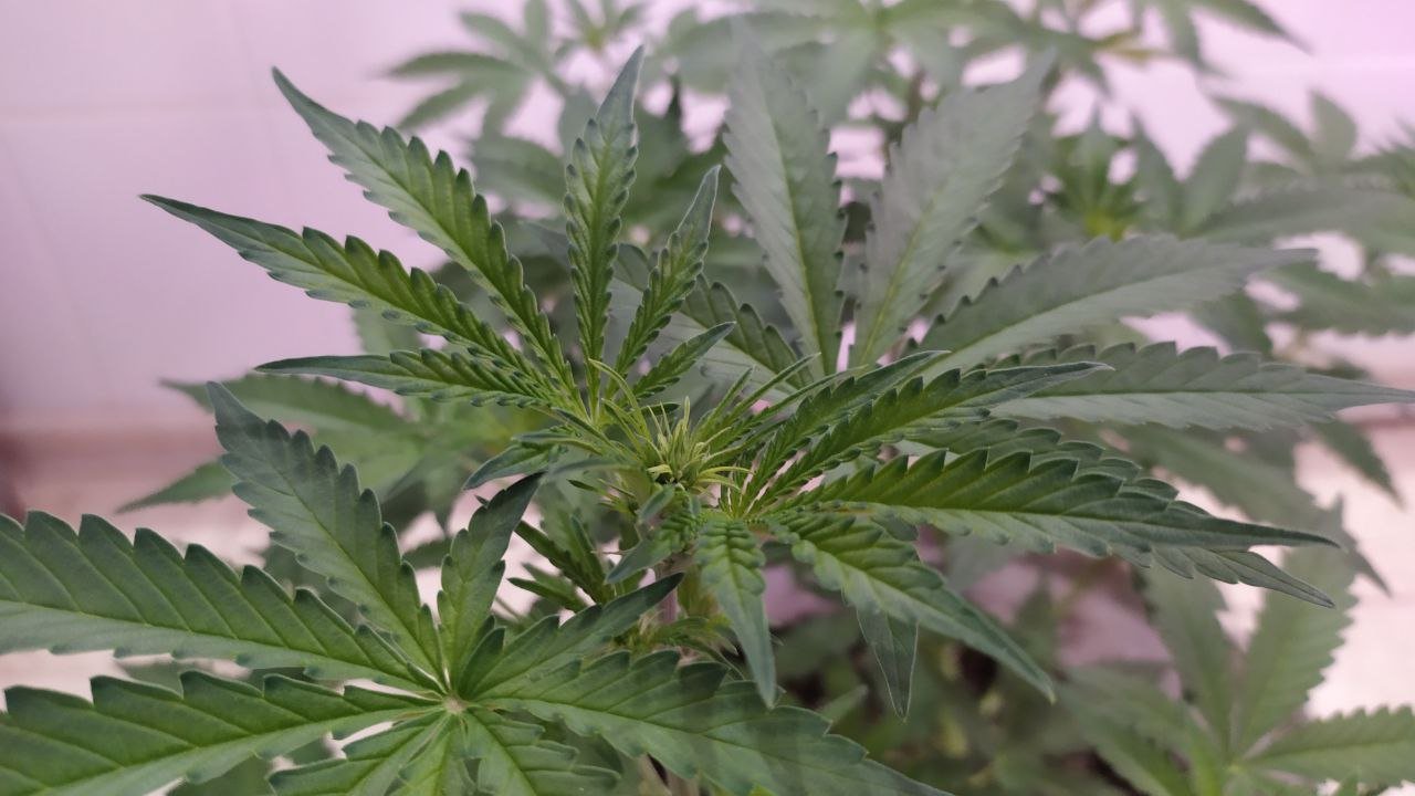 photo_2022-10-04_10-28-19 (2).jpg