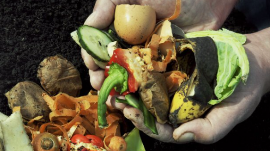 1664988462700.png 1664988462700.png