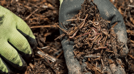 1664988577089.png 1664988577089.png