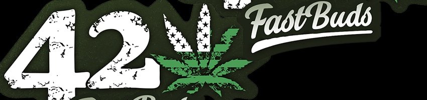 fast-buds_banner.jpg
