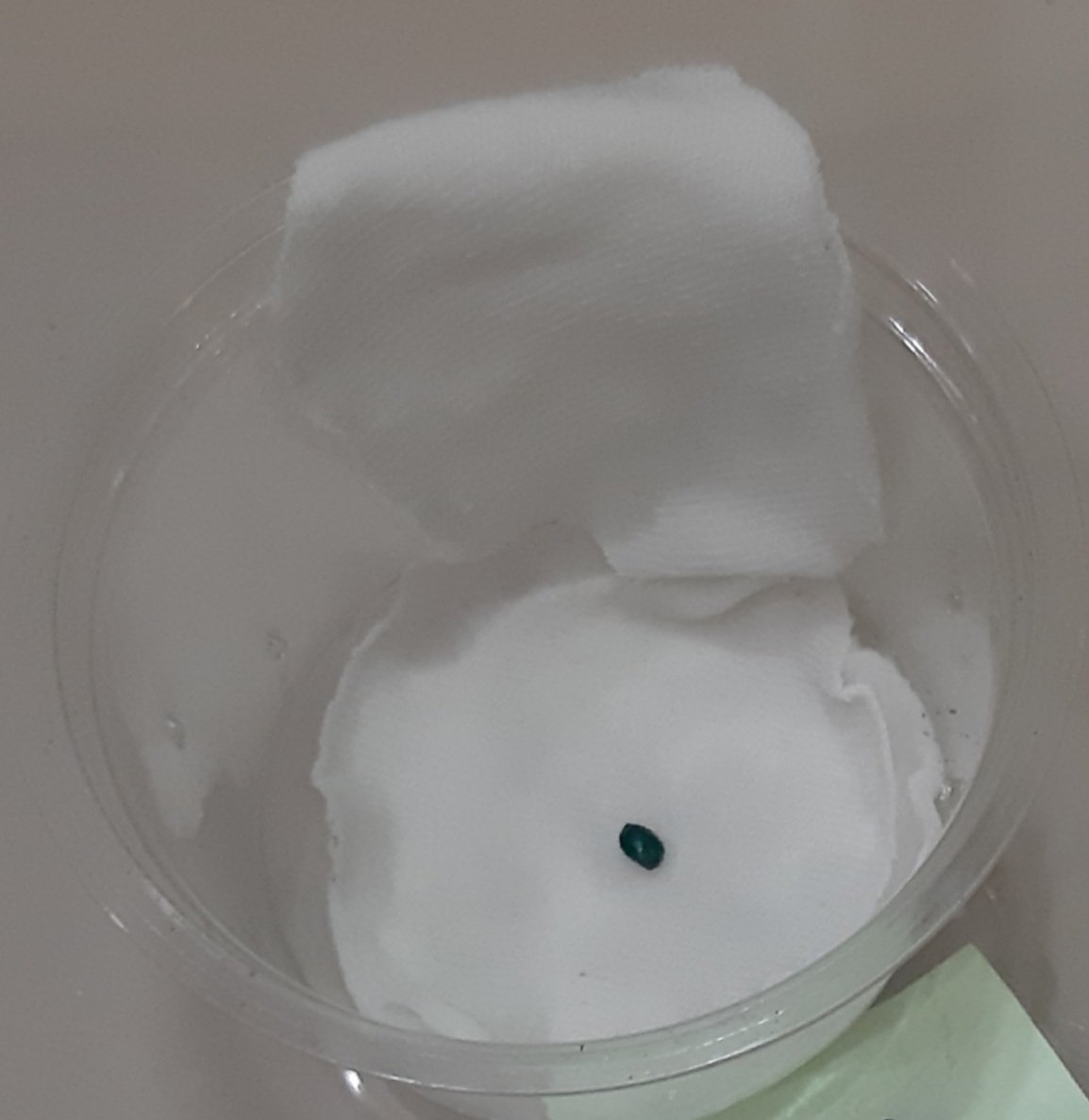 20221009_123317.jpg 20221009_123317.jpg