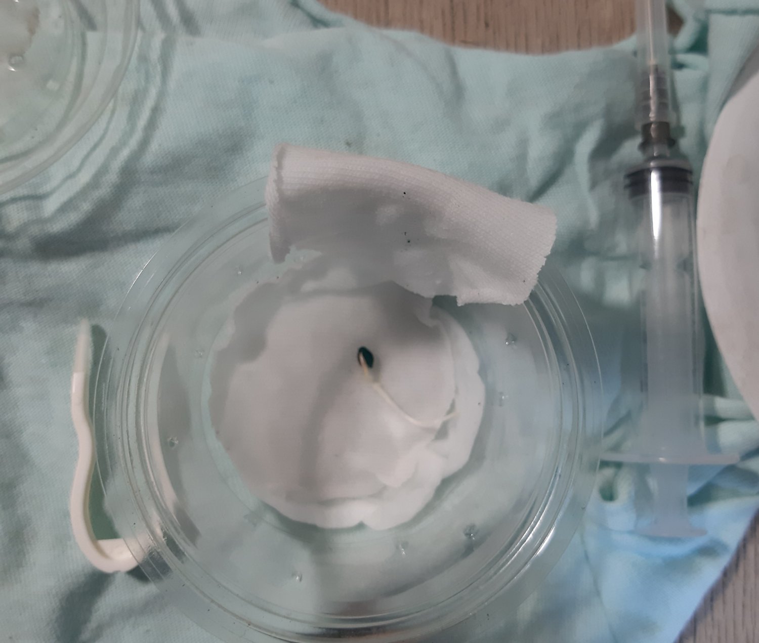 20221009_123058.jpg 20221009_123058.jpg