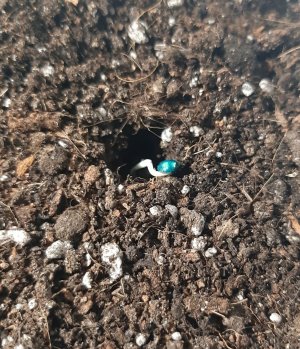 20221009_123033.jpg 20221009_123033.jpg