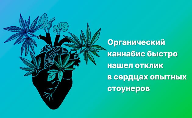 Органическая конопля – так что же это?