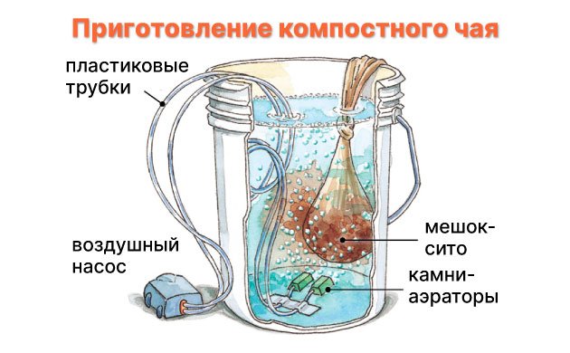5 шагов по приготовлению компостного чая для конопли 5 шагов по приготовлению компостного чая для конопли